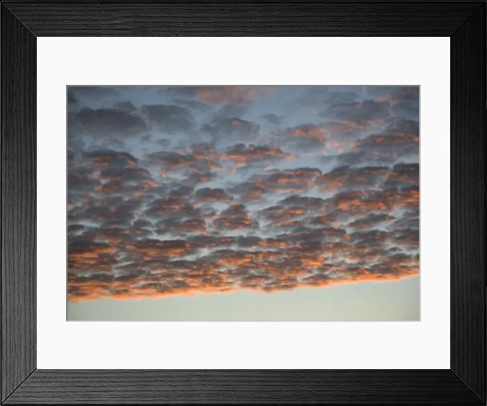 Framed Print : Many cumulus clouds covering the sky at dusk Framed Print : Many cumulus clouds covering the sky at dusk