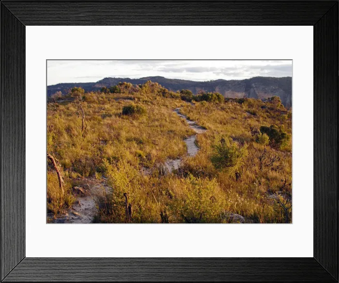 Framed Print : Walls Lookout Track