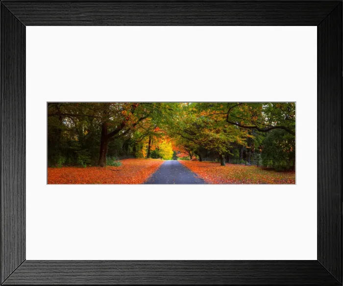Framed Print : Mt Wilson. Deciduous trees line the road of the small township of Mt Wilson