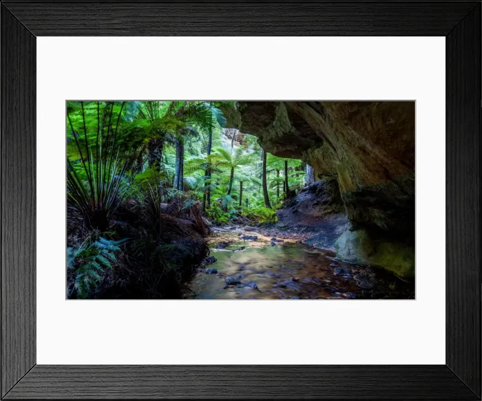Framed Print : Ferns. This is out the end of the glow worm tunnel. Framed Print : Ferns. This is out the end of the glow worm tunnel.
