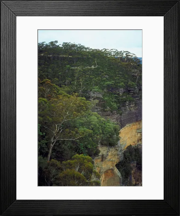 Framed Print : Blue Mountain National Park, Katoomba, Australia