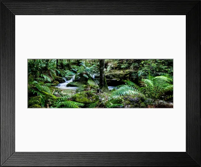 Framed Print : Lush environs Framed Print : Lush environs