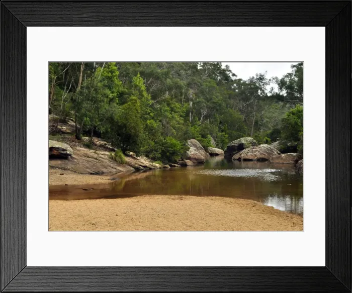 Framed Print : Pool in forest