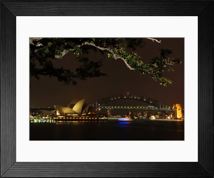 Framed Print : Welcome to the Jungle