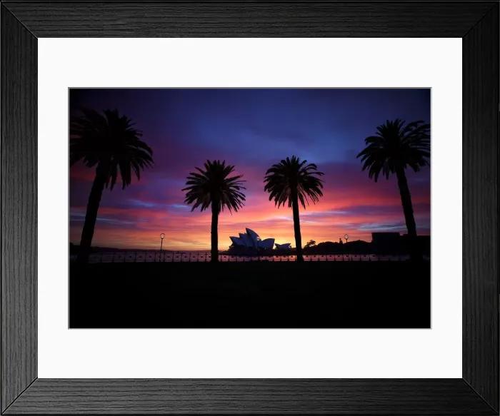 Framed Print : Silhouette of trees with Opera House