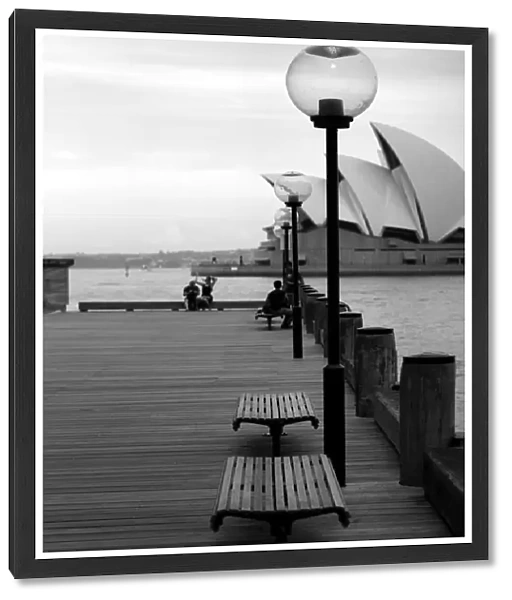 Sydney Harbour scene