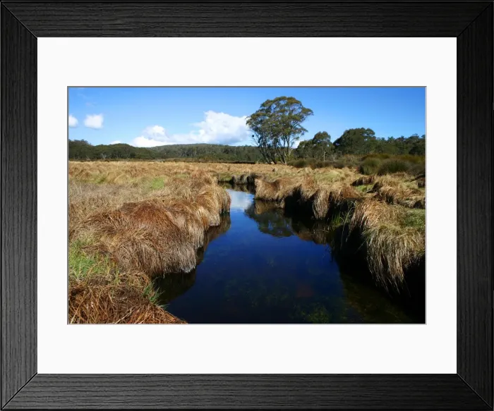 Framed Print : Tranquil creek at Barrington Tops