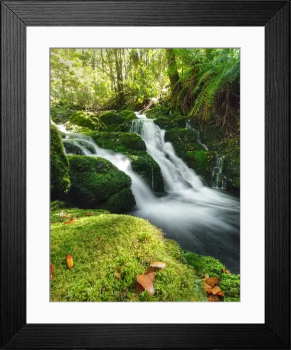 Framed Print : Barrington tops Framed Print : Barrington tops
