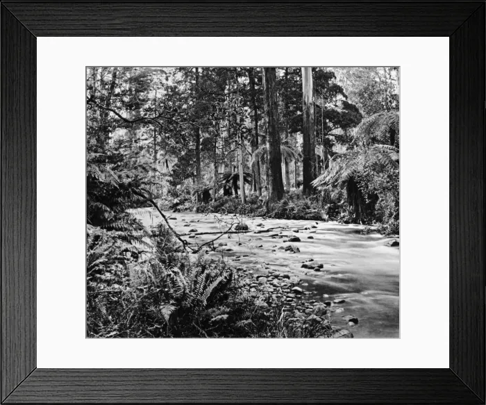 Framed Print : Watts River Rapids Framed Print : Watts River Rapids