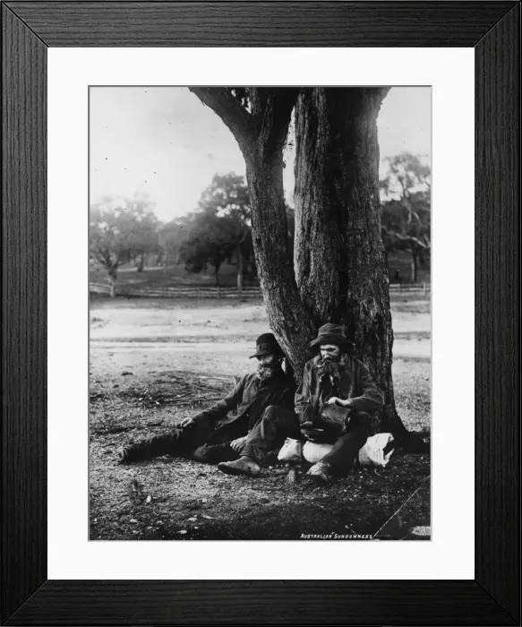 Framed Print : Swag Men. circa 1900: Australian sundowners sitting under a tree, one pouring