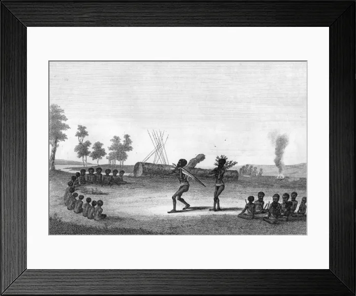 Framed Print : Australian Natives