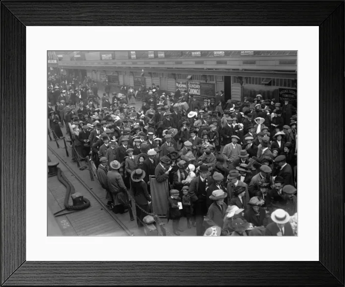 Framed Print : Zealandic Wait Framed Print : Zealandic Wait