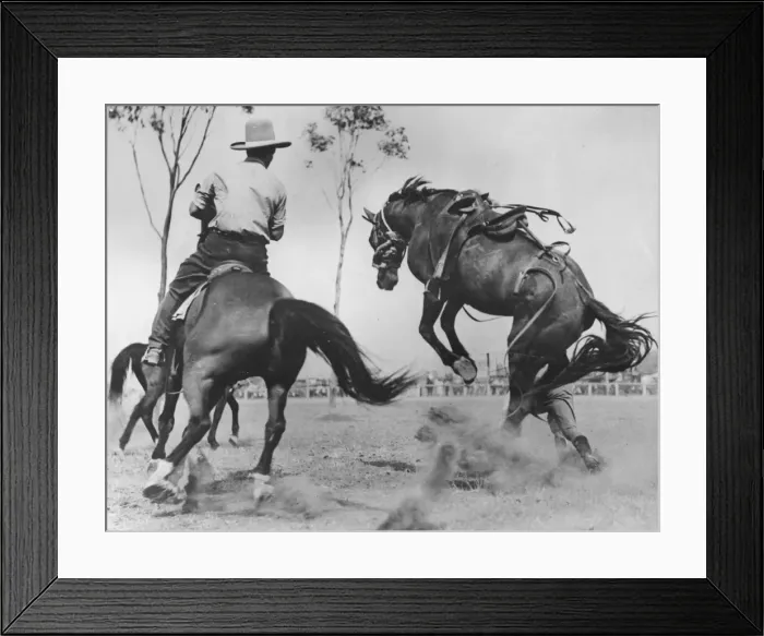 Framed Print : Bushmans Carnival Framed Print : Bushmans Carnival