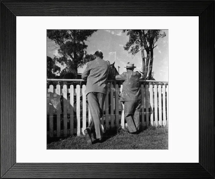 Framed Print : Trotting Race