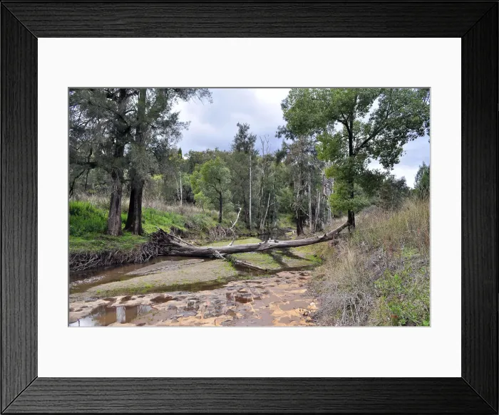 Framed Print : Log over creek Framed Print : Log over creek