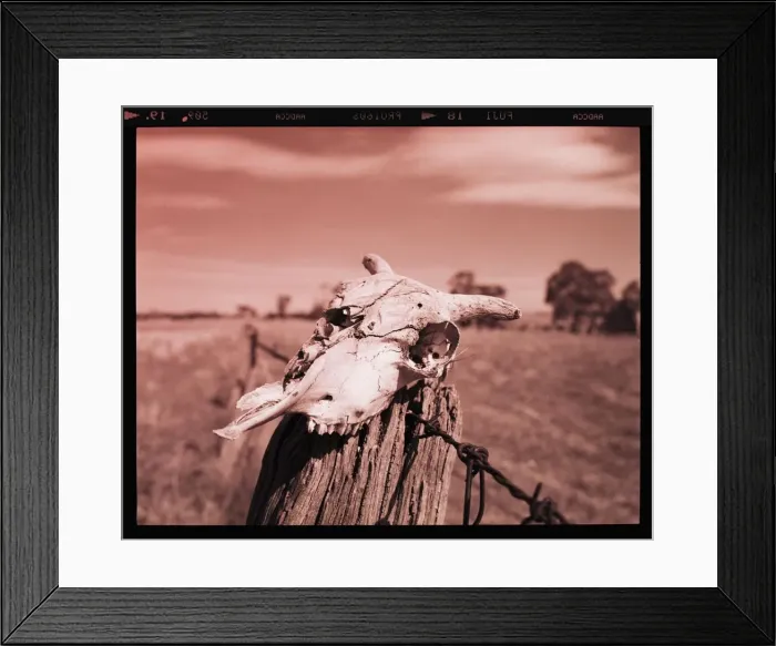 Framed Print : Komoora fence