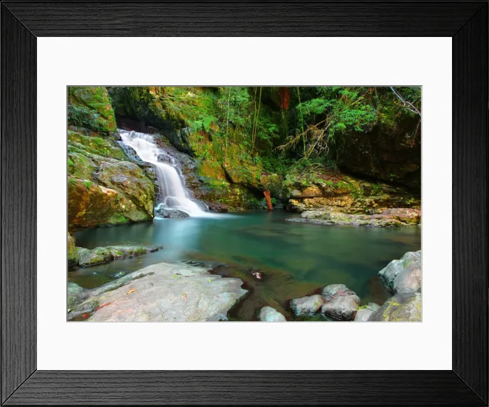 Framed Print : Coachwood Falls Framed Print : Coachwood Falls