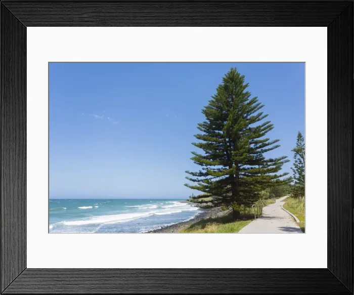 Framed Print : Beach Path Boardwalk