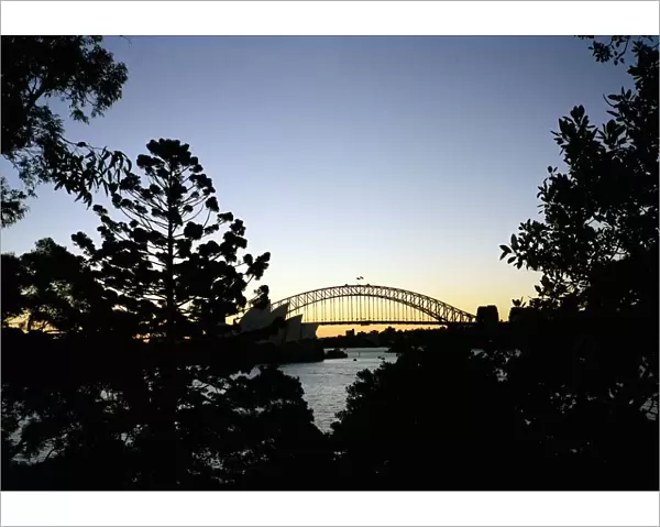 View through trees of Sydney Harbour Bridge
