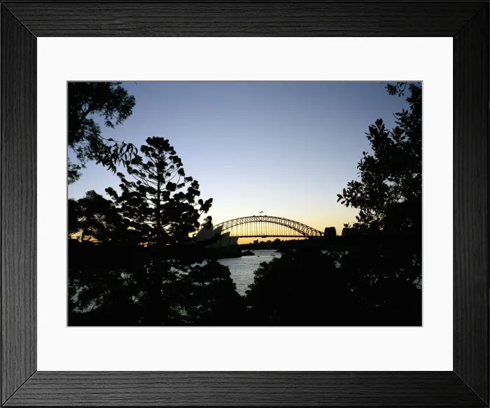 Framed Print : View through trees of Sydney Harbour Bridge Framed Print : View through trees of Sydney Harbour Bridge