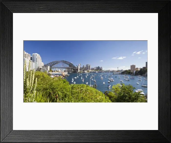 Framed Print : harbour bridge Framed Print : harbour bridge
