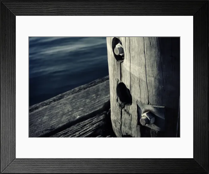 Framed Print : Old Wharf Pylon Sydney Harbour Framed Print : Old Wharf Pylon Sydney Harbour