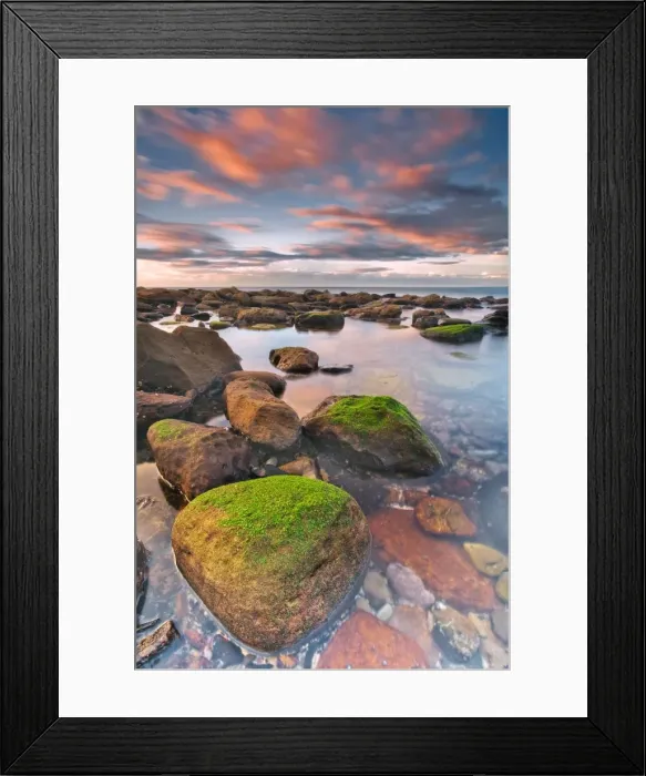 Framed Print : Mossy rock at beach Framed Print : Mossy rock at beach