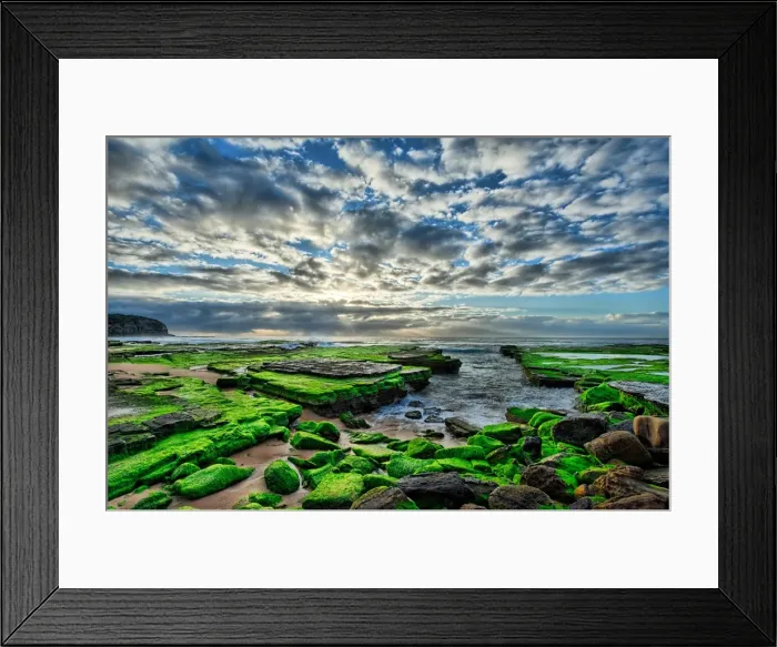 Framed Print : Moss on beach