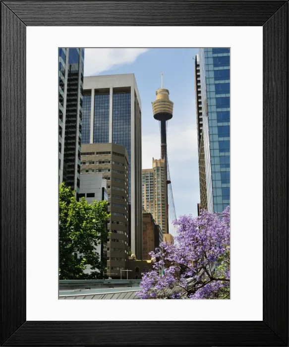 Framed Print : Downtown Sydney Framed Print : Downtown Sydney
