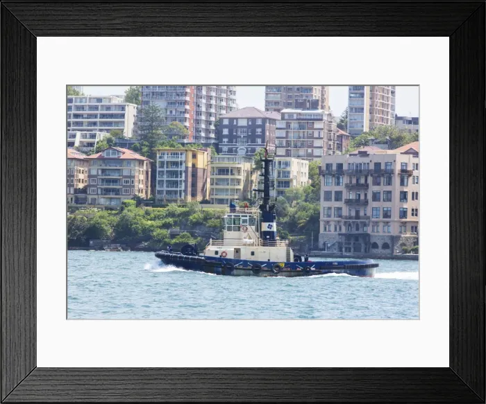 Framed Print : Tugboat. Commercial tugboat on Sydney Harbour