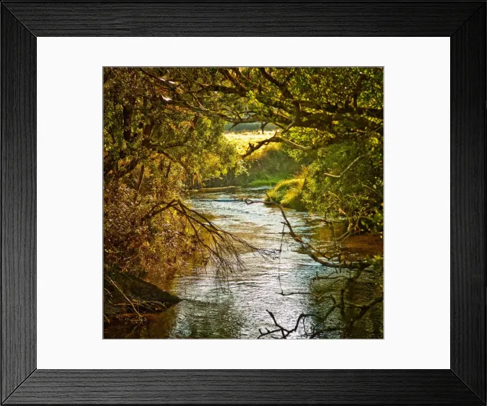 Framed Print : Mole Creek Framed Print : Mole Creek