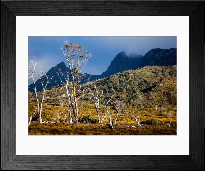 Framed Print : Cradle Mountain. Tasmania. Australia Framed Print : Cradle Mountain. Tasmania. Australia