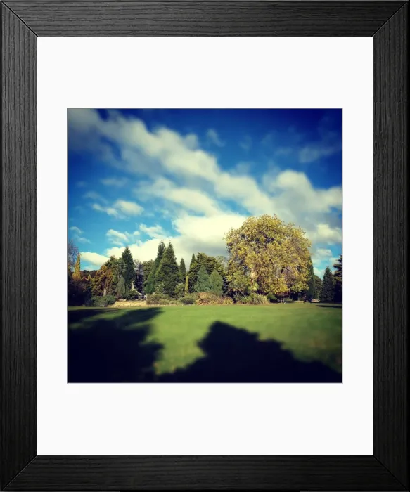 Framed Print : Botanical gardens