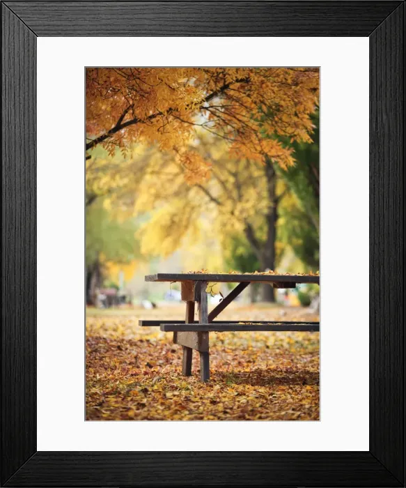 Framed Print : Autumn in Bright
