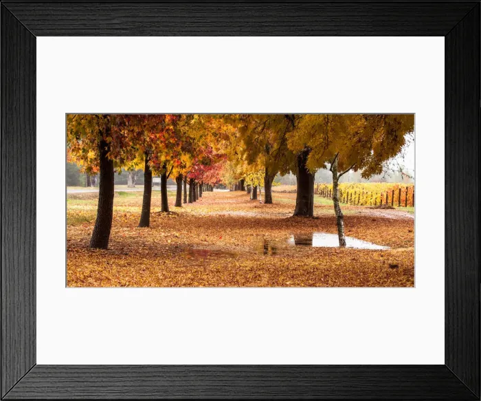 Framed Print : Autumn showers