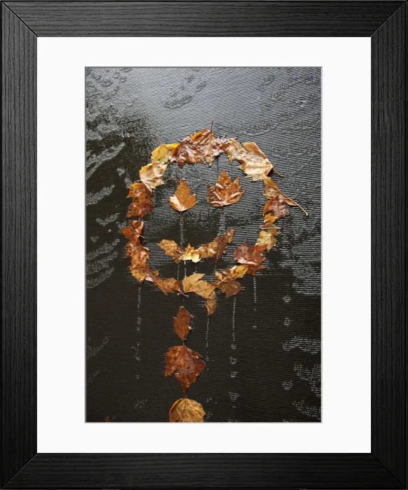 Framed Print : Happy dead maple leaves Framed Print : Happy dead maple leaves