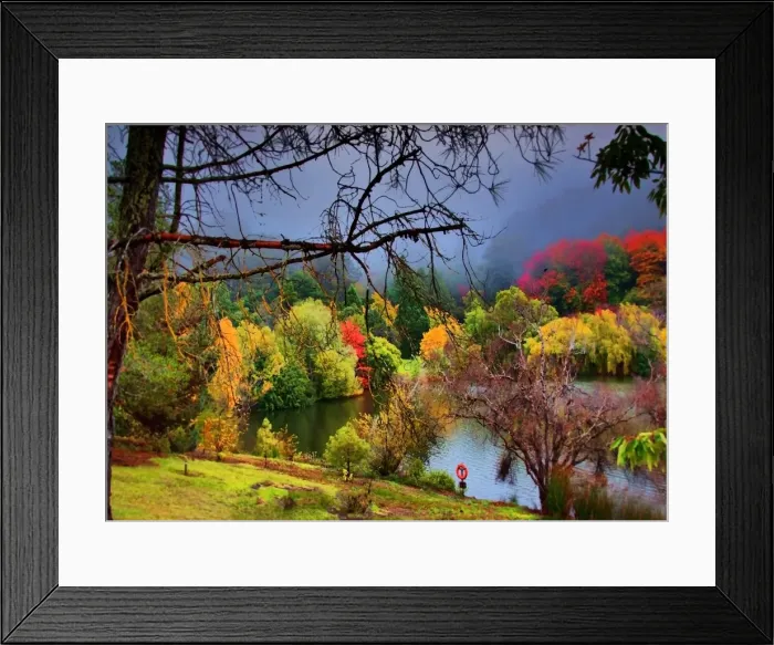 Framed Print : Autumn mist