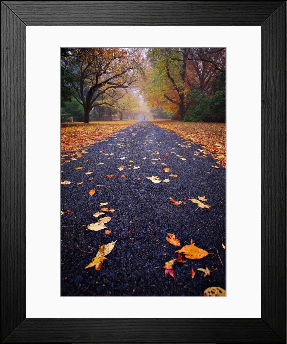 Framed Print : Autumn road