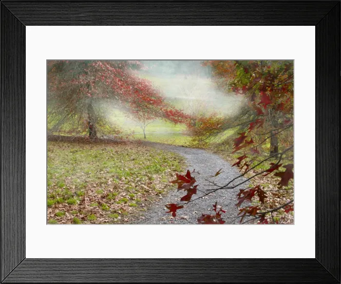 Framed Print : Autumn leaves Framed Print : Autumn leaves