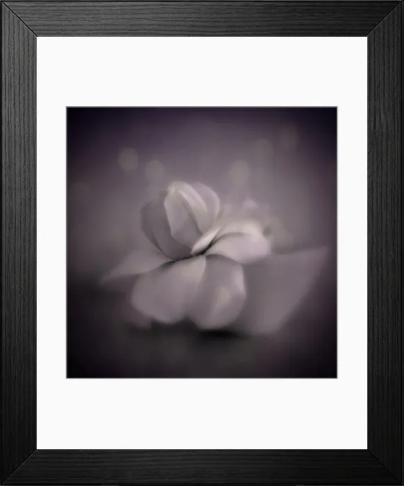Framed Print : Delicious autumn Framed Print : Delicious autumn