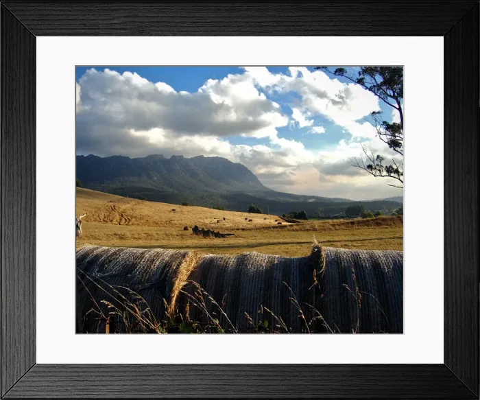Framed Print : Autumn in Australia Framed Print : Autumn in Australia
