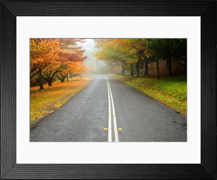 Framed Print : Empty country road in autumn mist Framed Print : Empty country road in autumn mist