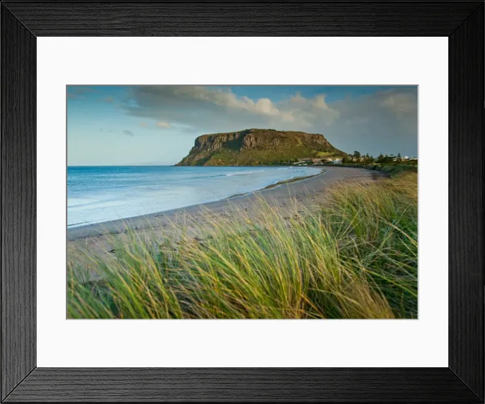 Framed Print : Nut at Stanley Framed Print : Nut at Stanley