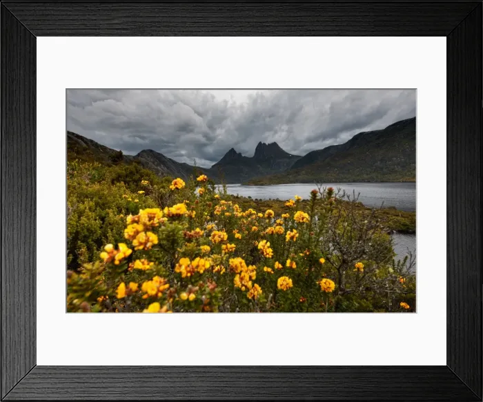 Framed Print : cloudy cradle mountain