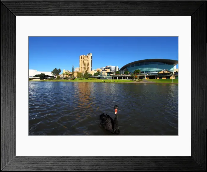 Framed Print : View of Adelaide City Framed Print : View of Adelaide City