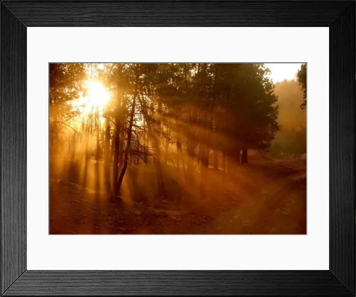 Framed Print : Country road. Flinders Ranges. South Australia Framed Print : Country road. Flinders Ranges. South Australia