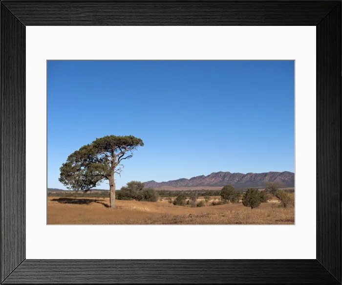 Framed Print : Flinders Ranges Framed Print : Flinders Ranges