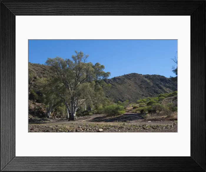 Framed Print : Flinders Ranges Framed Print : Flinders Ranges