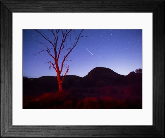 Framed Print : Stargazing Framed Print : Stargazing