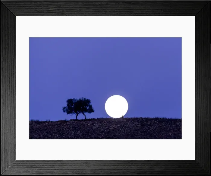 Framed Print : Stargazing Framed Print : Stargazing